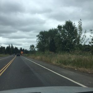 Meet your Posher, Casey